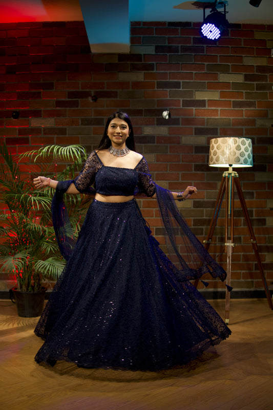 Blue Net Embroidered Lehenga