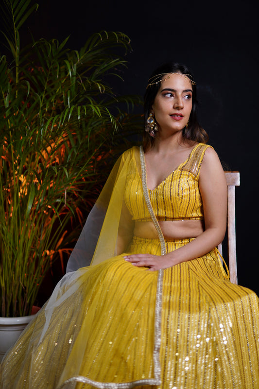Gorgeous Yellow Net Lehenga